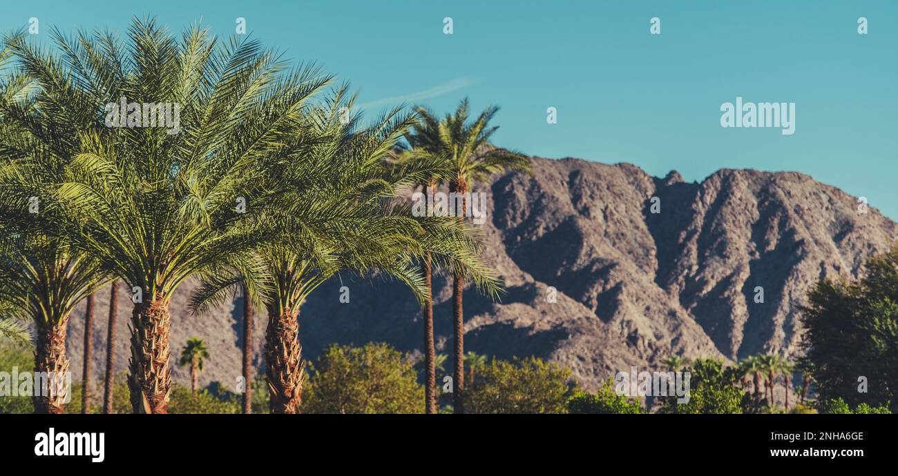 Kalifornische Landschaft im Coachella Valley mit Palmen und Bergen. Stockfoto