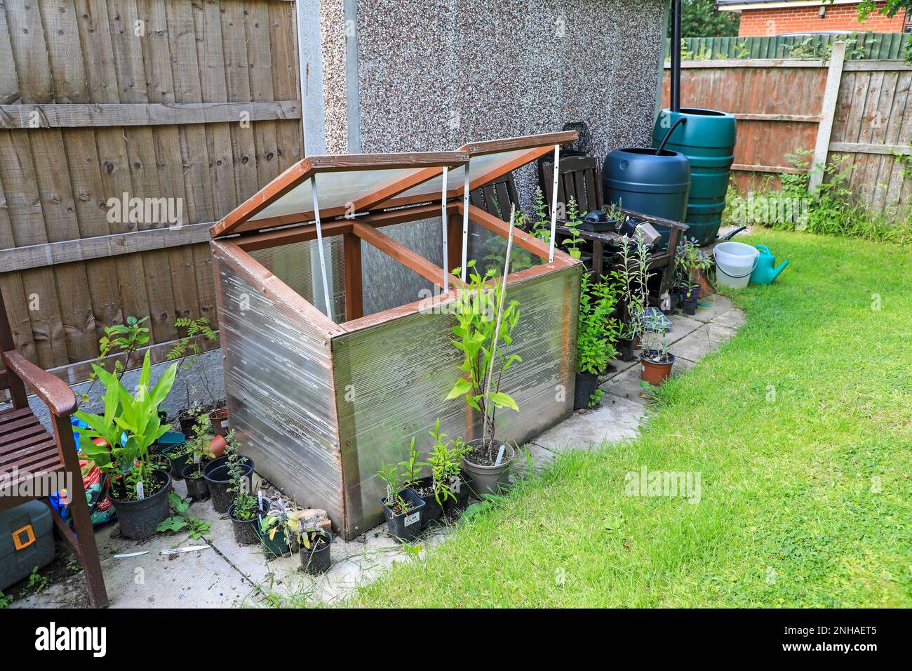 Ein hausgemachter, kalter Rahmen mit Pflanzen und Wasserstummeln in einem Garten in England, Großbritannien Stockfoto