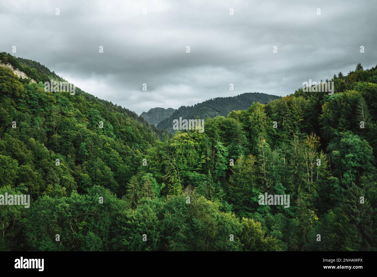 Majestätische Berge in den Alpen, bedeckt mit Bäumen und Wolken Stockfoto