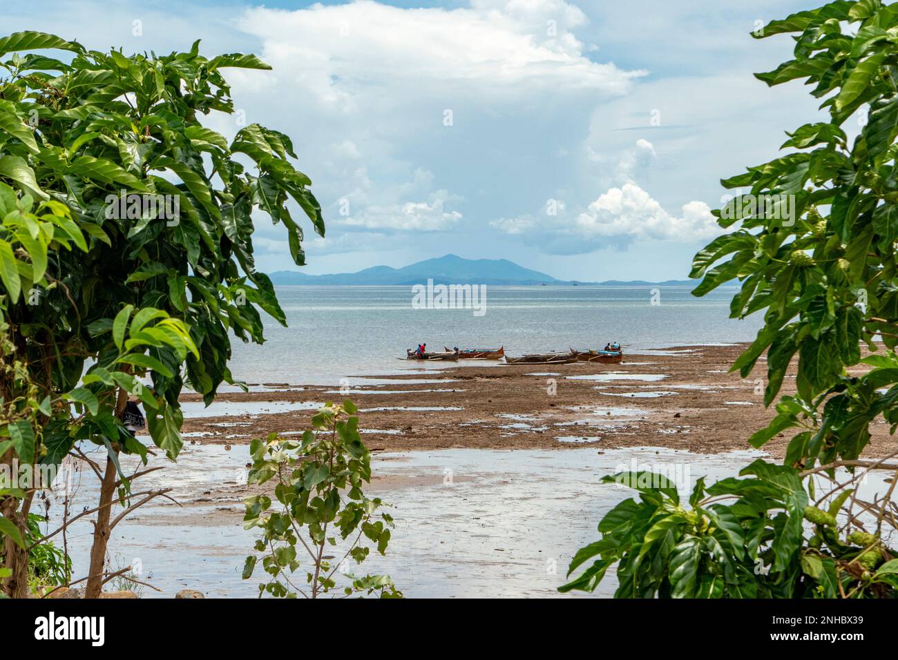 Küstenblick, Neugierde, Madagaskar Stockfoto