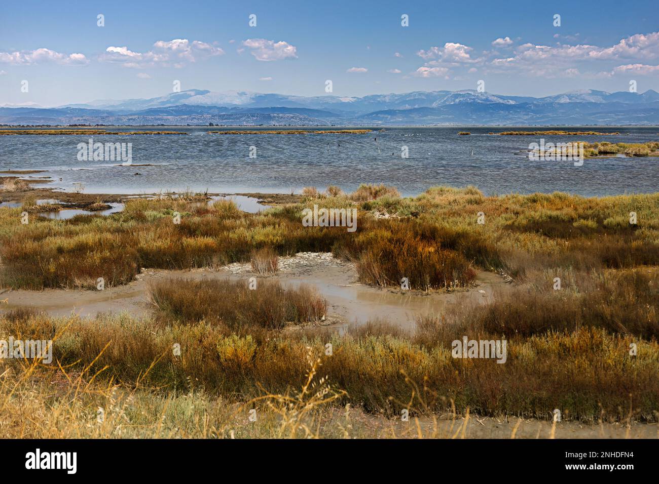 Der Umweltpark Salaora, Epirien, griechenland, auf dem Weg zur wunderschönen Insel Koronisia, die im Golf von Ambrasien liegt. Auf der einen Seite ist es ein BE Stockfoto