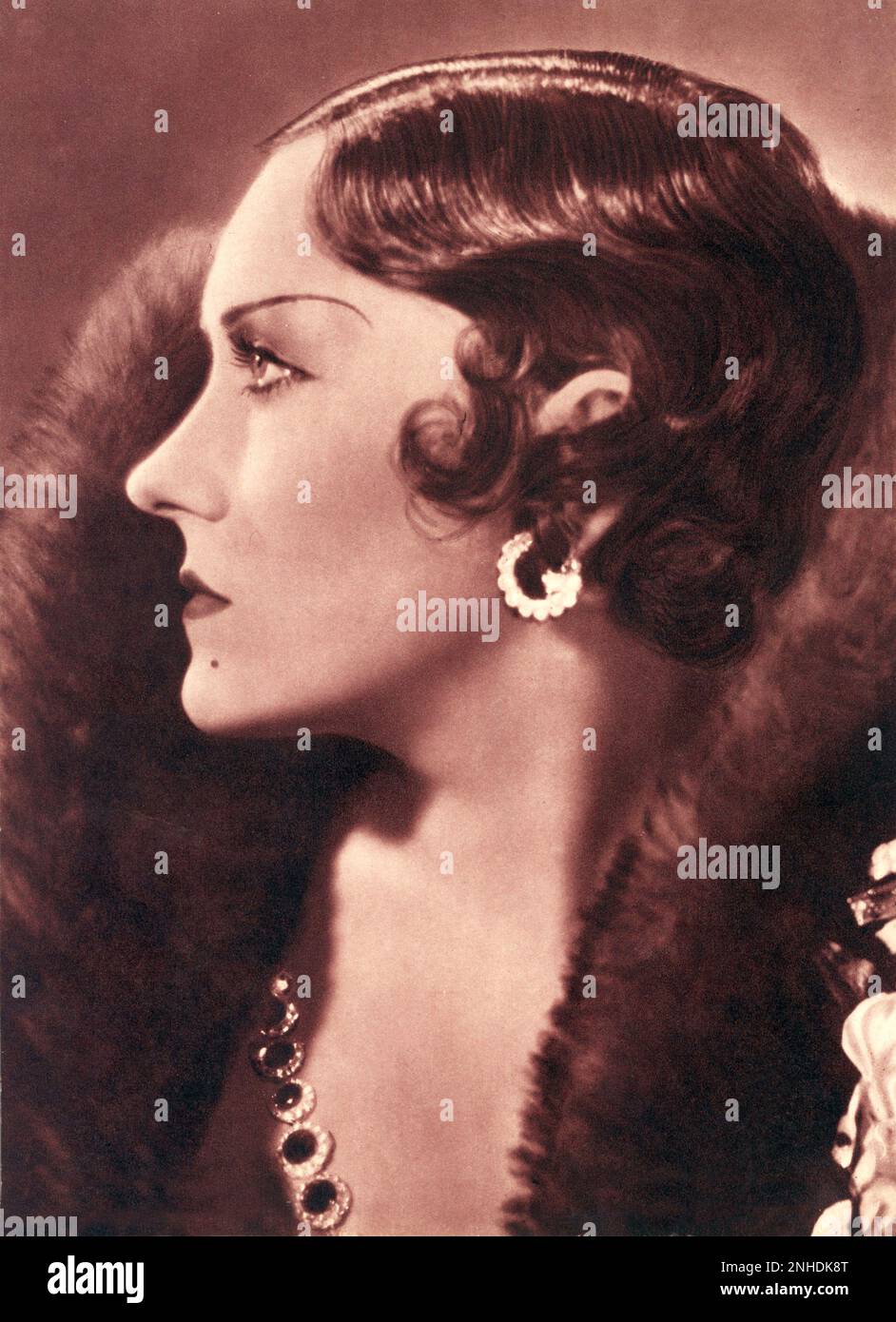 1920er Jahre : die Schauspielerin GLORIA SWANSON ( Chicago 1898 - New York 1983 ) - FILM - KINO - attrice cinematografica - VAMP - DIVA - DIVINA - DIVINE - Neo - Maulwurf - Profil - profilo - collana - Collier - Halskette - Gold - Oro - gioielli - Juwelen - Ohrringe - Orechino - Orechini --- Archivio GBB Stockfoto