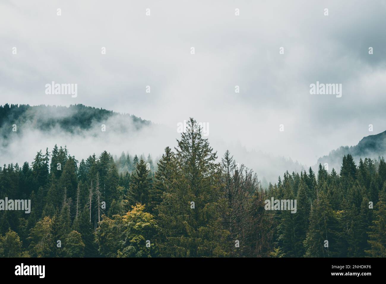 Majestätische Berge in den Alpen, bedeckt mit Bäumen und Wolken Stockfoto