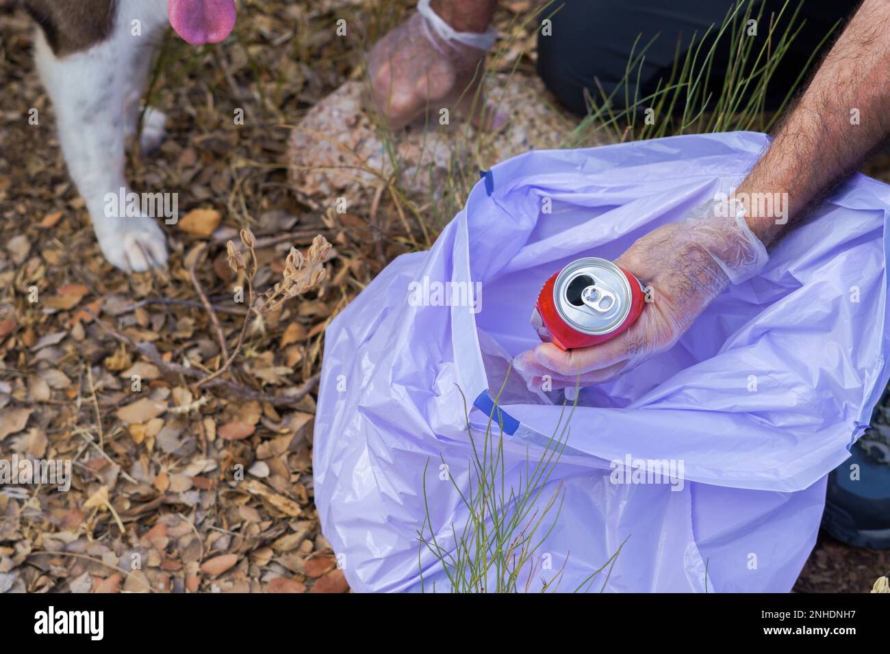 Ein Umweltschützer mit seinem Hund, der eine Dose in einen Müllsack warf Stockfoto