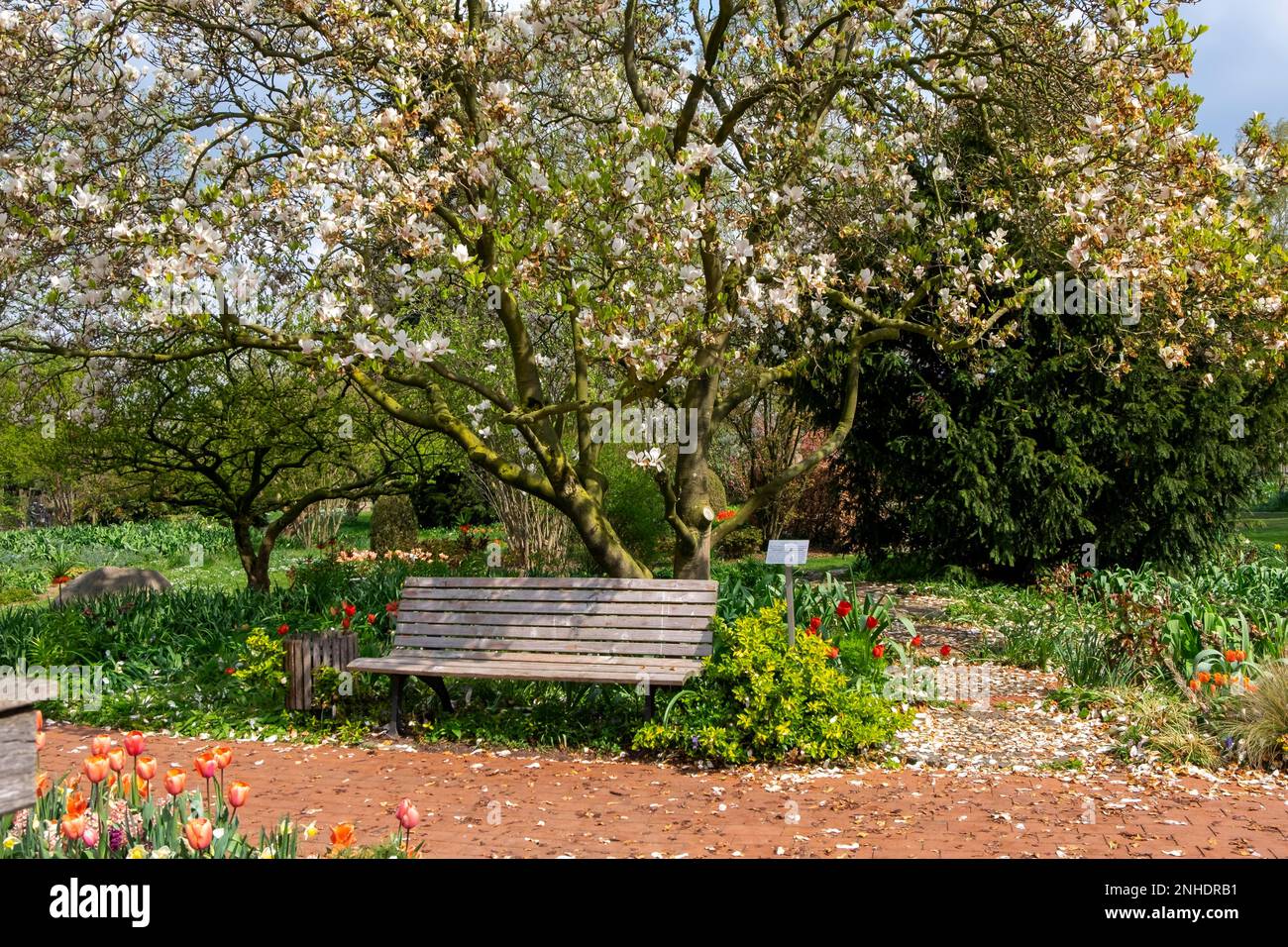 Frühling im District Teaching Garden Stockfoto