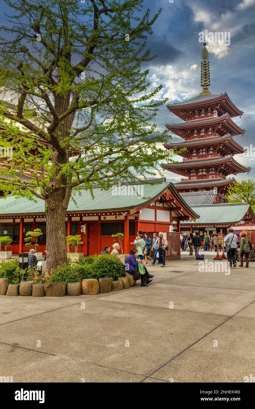 Tokio Japan. Senso Ji Tempel in Asakusa Stockfoto