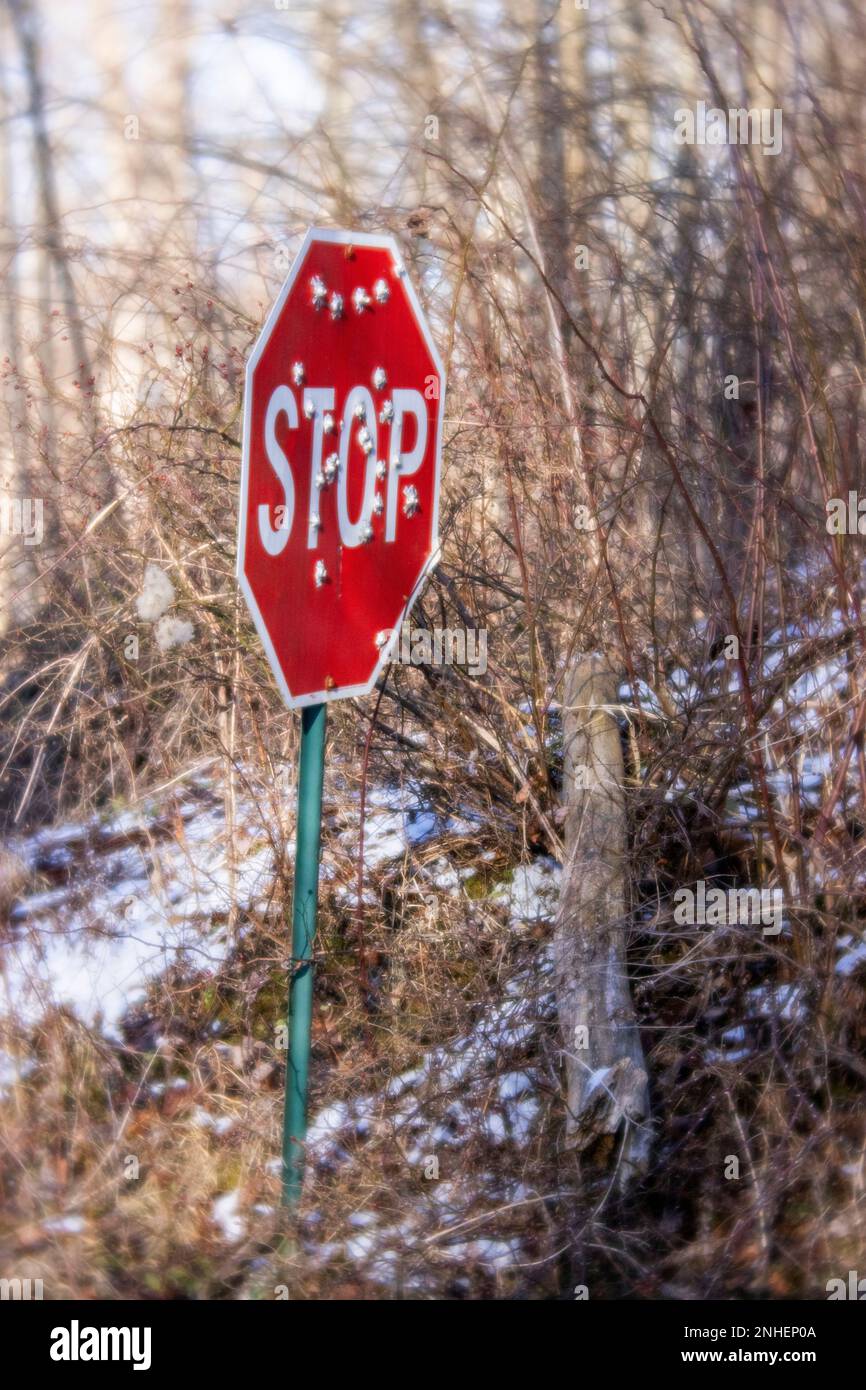 Ein rotes Stoppschild an einer Nebenstraße in Pennsylvania steht gerade und hell, obwohl es von Einschusslöchern durchdrungen ist Stockfoto