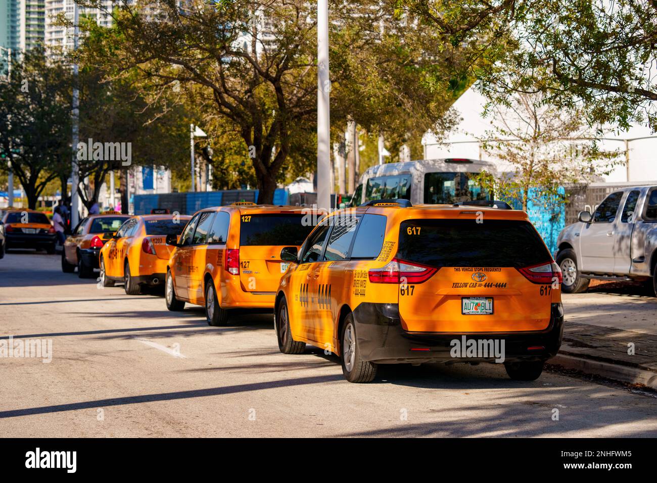 Miami, FL, USA - 19. Februar 2023: Foto einer Reihe gelber Taxis in Miami Stockfoto