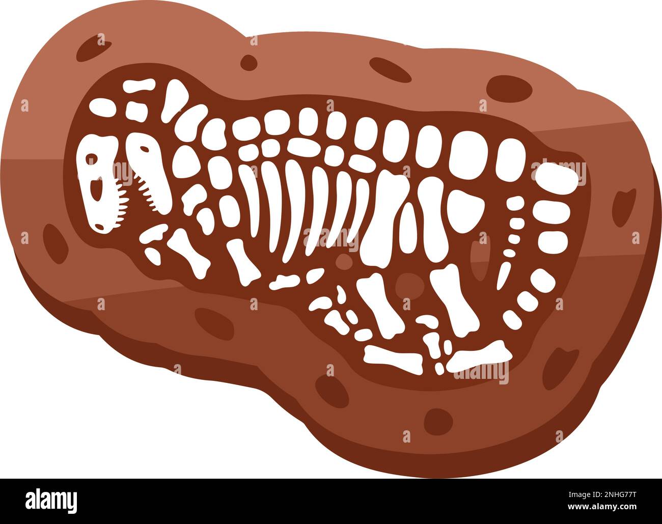 Velociraptor Fossils Skelett. Velociraptor-Fossilienknochen. Dinosaurierskelett. Dinosaurierknochen mit Schädel. Gefährliches altes Raubtier. Stock Vektor
