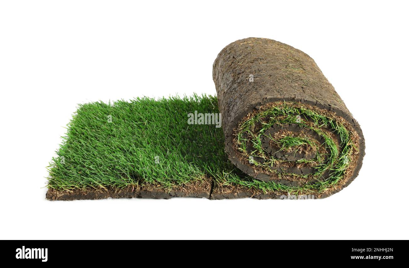 Gerollter Sack mit Gras auf weißem Hintergrund Stockfoto