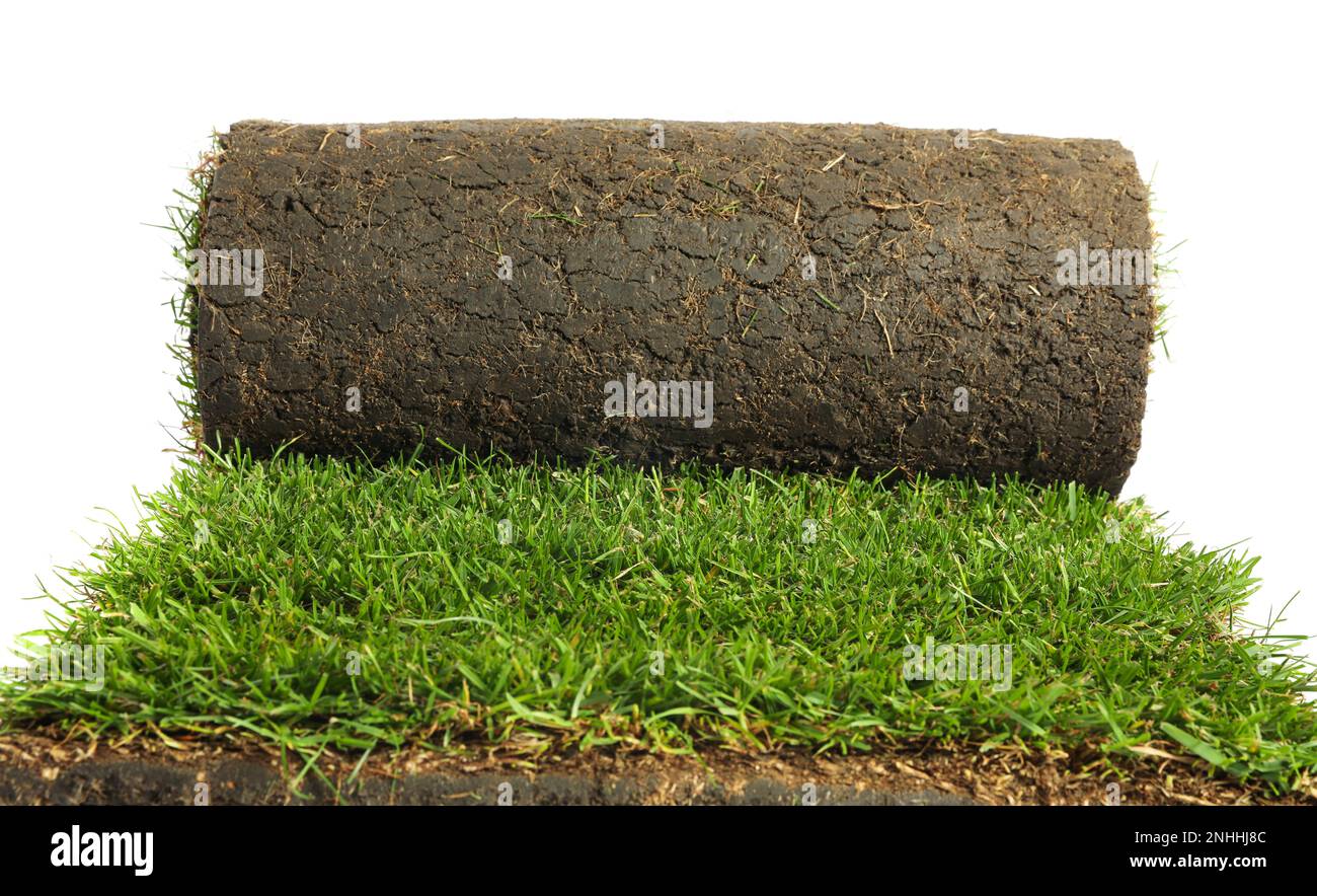 Gerollter Sack mit Gras auf weißem Hintergrund Stockfoto