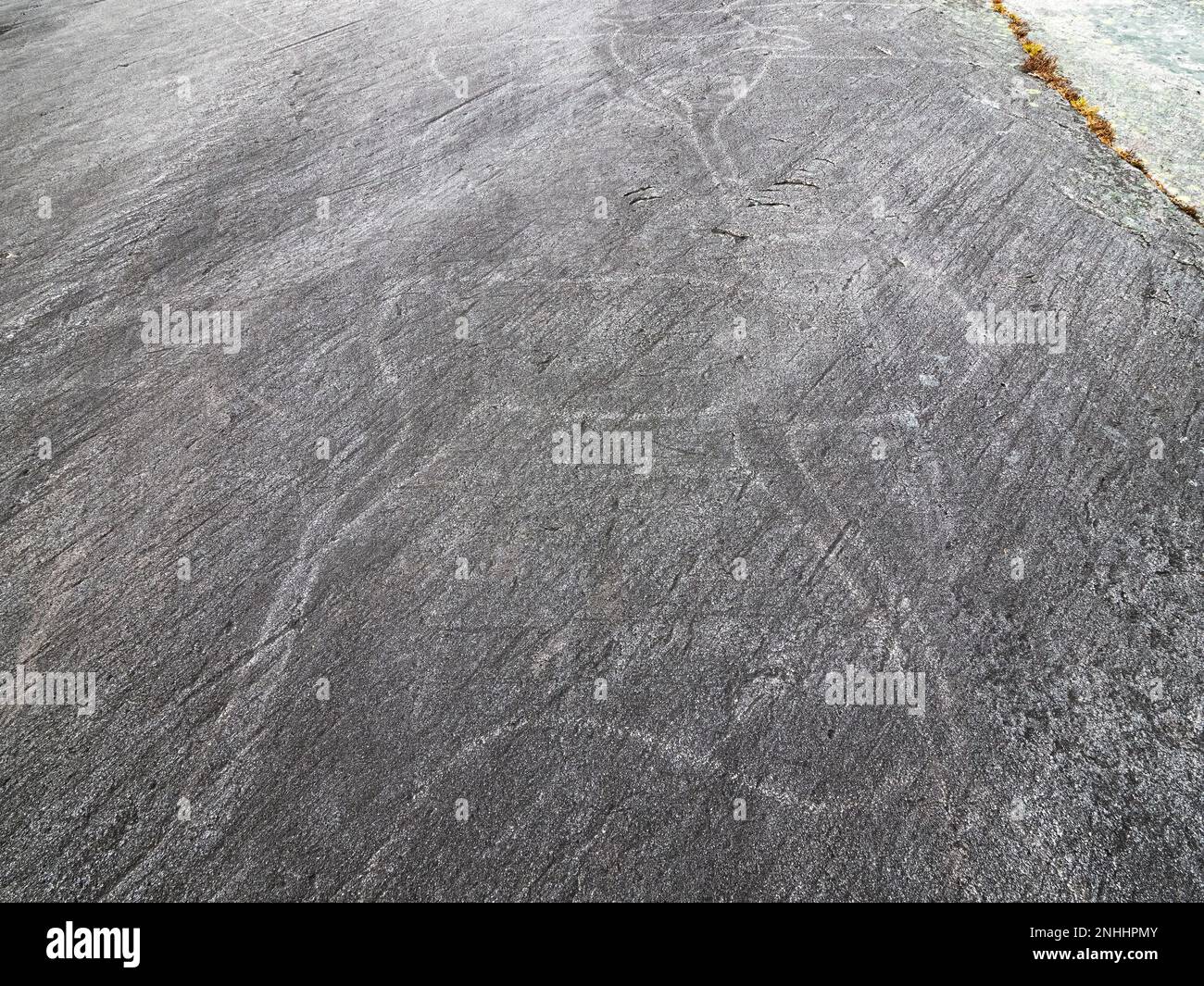 Prähistorische Felsschnitzereien, Felszeichnungen, in Leiknes, mit Szenen aus der Jagd in Norwegen. Stockfoto
