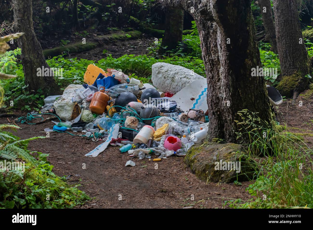 Von Freiwilligen am Shi Shi Beach im Olympic National Park, Washington, USA, gesammelter Strandmüll Stockfoto