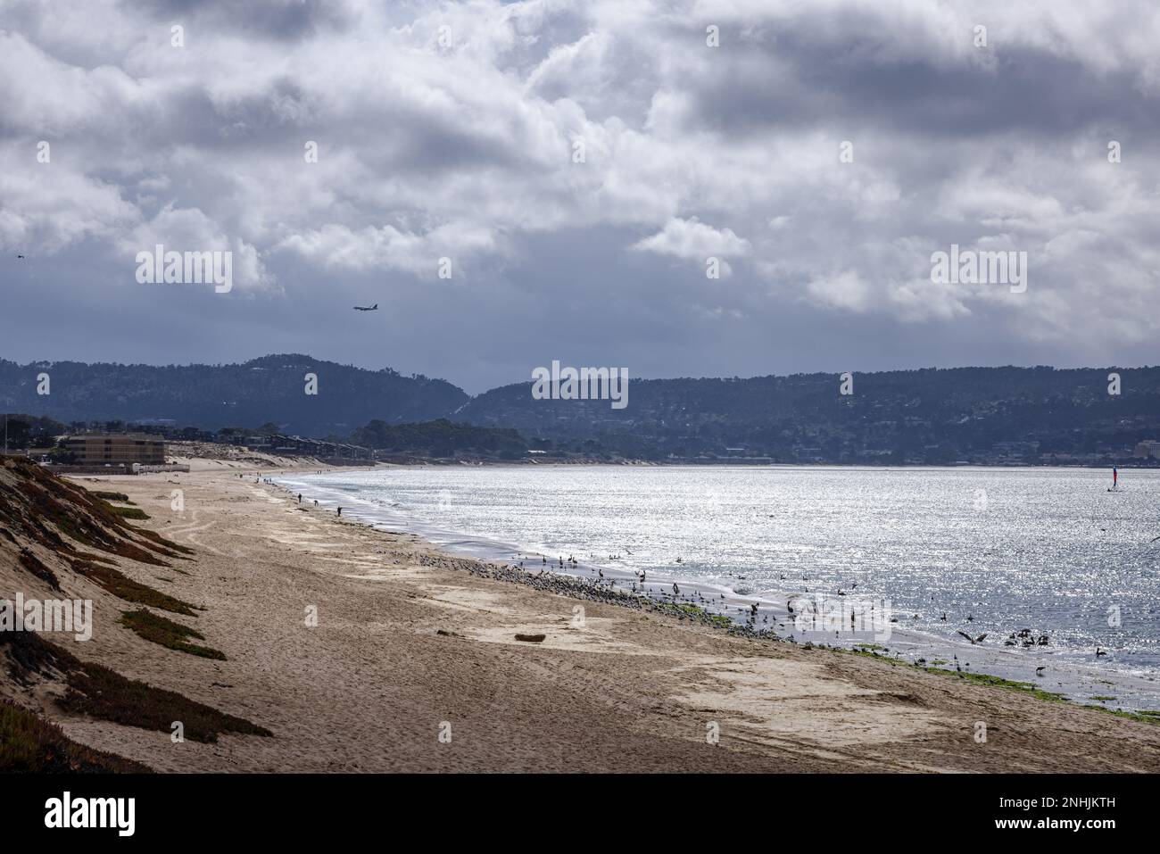 Del Monte Beach in Monterey, CA, mit angespültem Salat und Seevögeln. Stockfoto