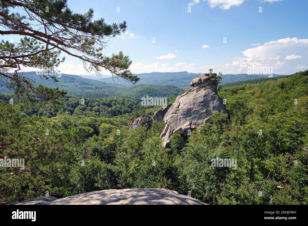 Riesige Felsformationen hoch in den Bergen mit wachsenden Bäumen an sonnigen Sommertagen. Stockfoto