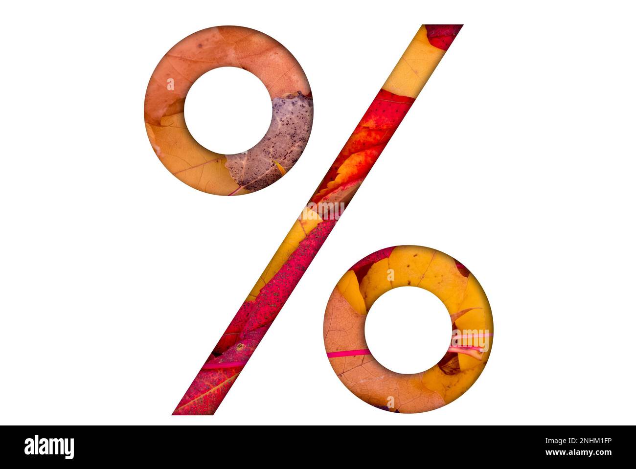 Herbstlaub, Objekte mit Prozentzeichen. Natürliche Muster, Farbdesign. Stockfoto