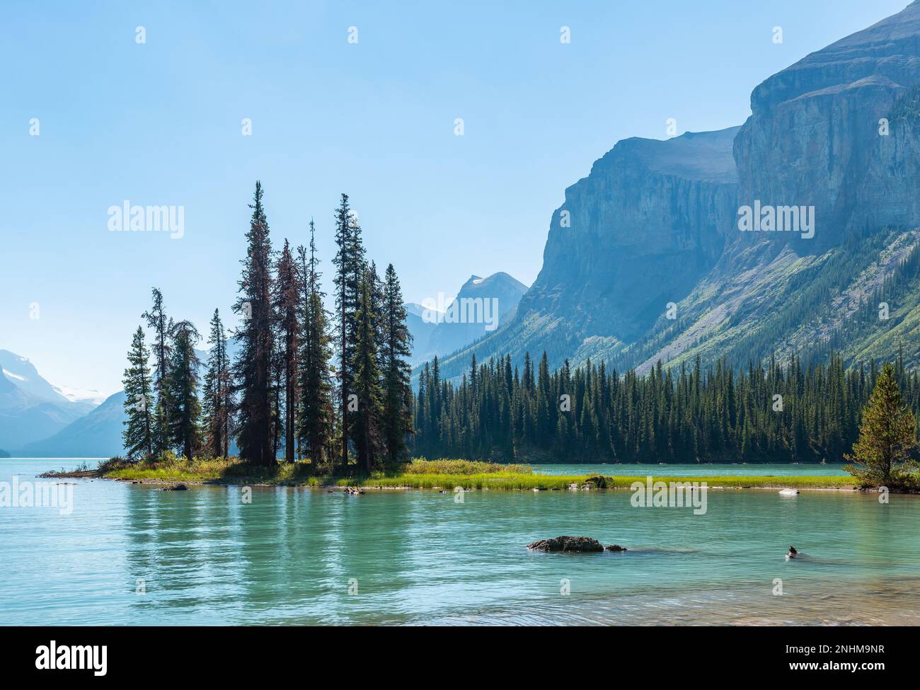 Spirit Island und Maligne Lake im Sommer mit Kopierbereich, Nationalpark, Alberta, Kanada. Stockfoto