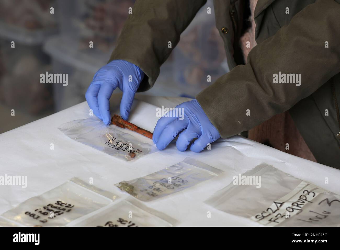 A person shows the fountain pen exhumed from the grave of trade unionist Aurora Picornell in the cemetery of Son Colores, on December 2, 2022, in Manacor, Mallorca, Balearic Islands (Spain). The graves plan of the Balearic Aranzadi project found the remains of 54 victims of the Civil War in the second phase of the excavations of the Pla de Fosses of the Government in December 2021. This year during the month of October the remains of Aurora Picornell were exhumed in the same grave, along with four other women seamstresses who were murdered on the night of Epiphany 1937. Along with the remains Stockfoto