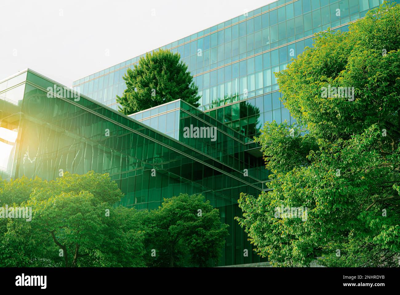 Nachhaltiges, umweltfreundliches Gebäude. Umweltfreundliches Gebäude. Nachhaltiges Bürogebäude aus Glas mit Baum zur Reduzierung von Kohlendioxid. Büro mit Grün Stockfoto