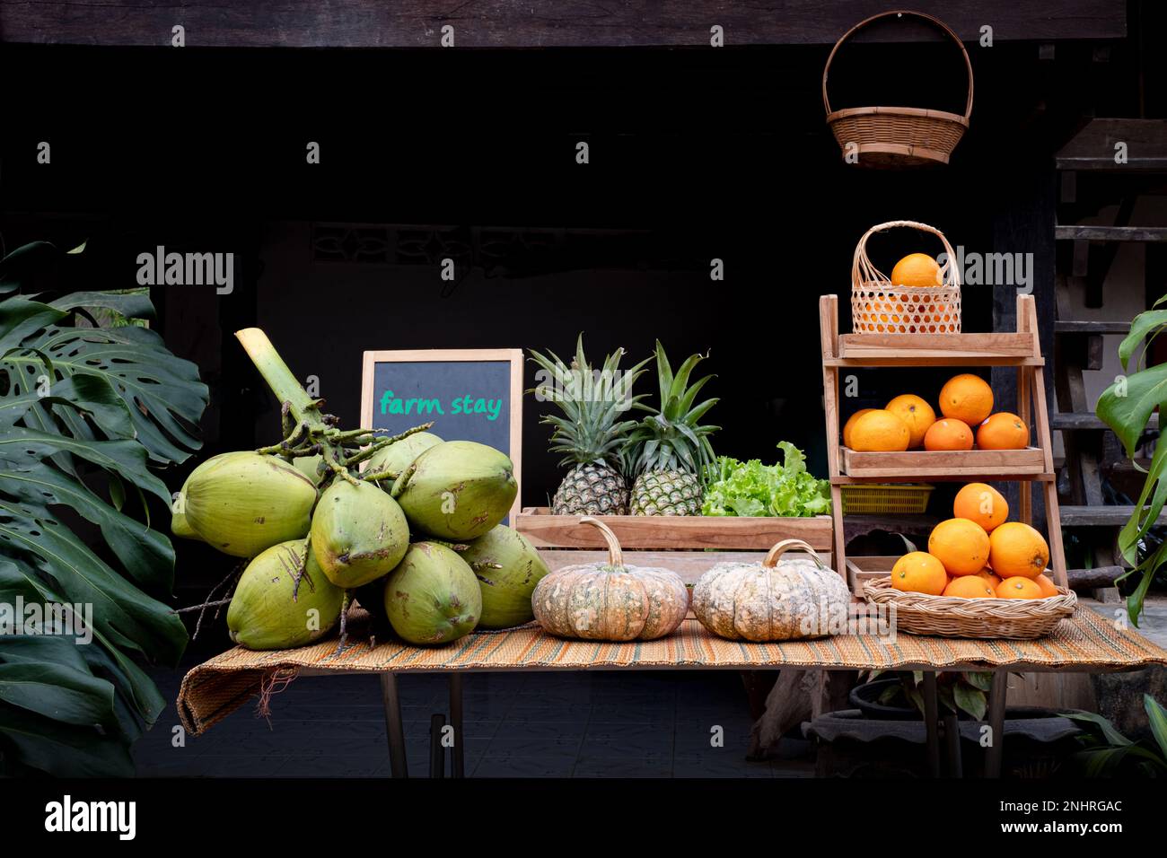 Gesunde, natürliche Auswahl an Früchten auf dem Tisch beim Aufenthalt auf dem Bauernhof Stockfoto