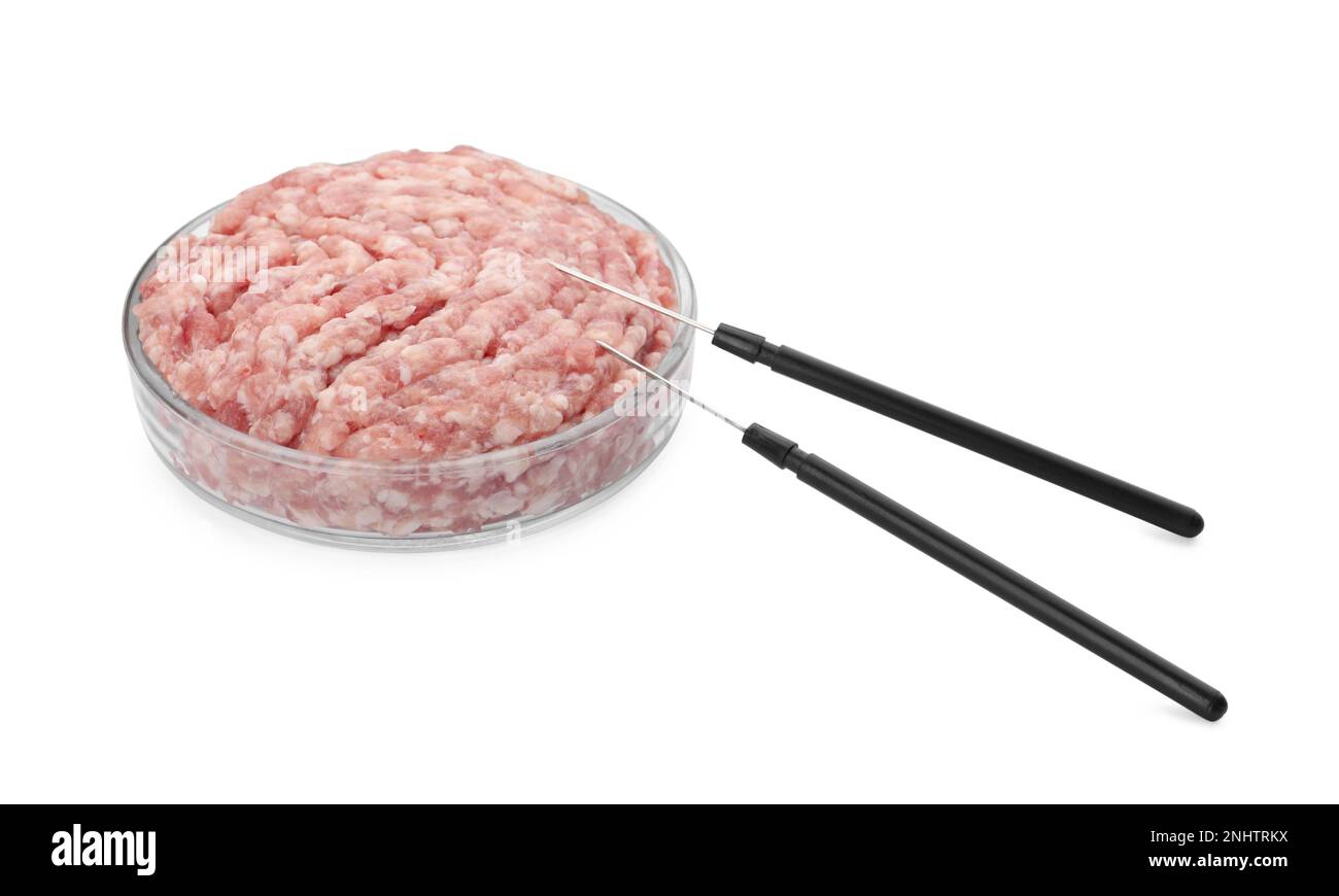 Petrischale mit rohem Hackfleisch und Präpariernadeln auf weißem Hintergrund Stockfoto