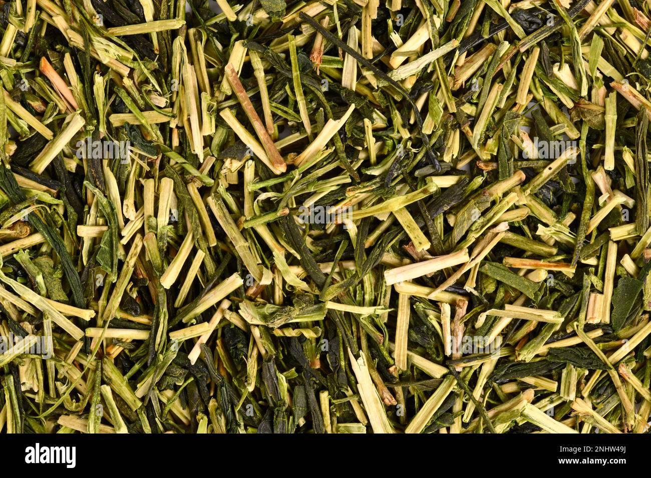 Nahaufnahme japanischer grüner Zweig-Teekräuter namens „Kukicha“ aus Kamelien-Pflanze Stockfoto