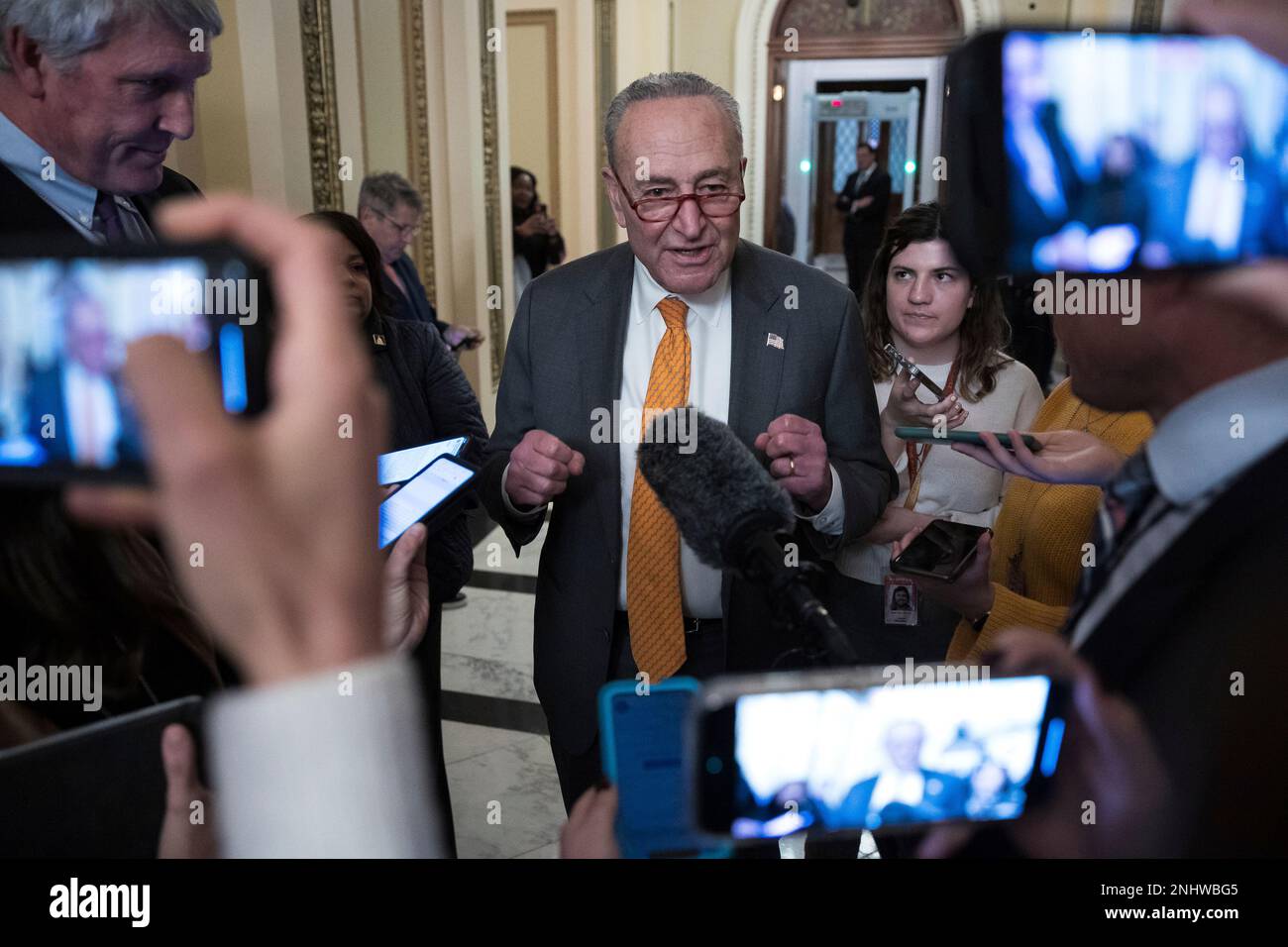 Senate Majority Leader Chuck Schumer (D-N.Y.) speaks with reporters as ...