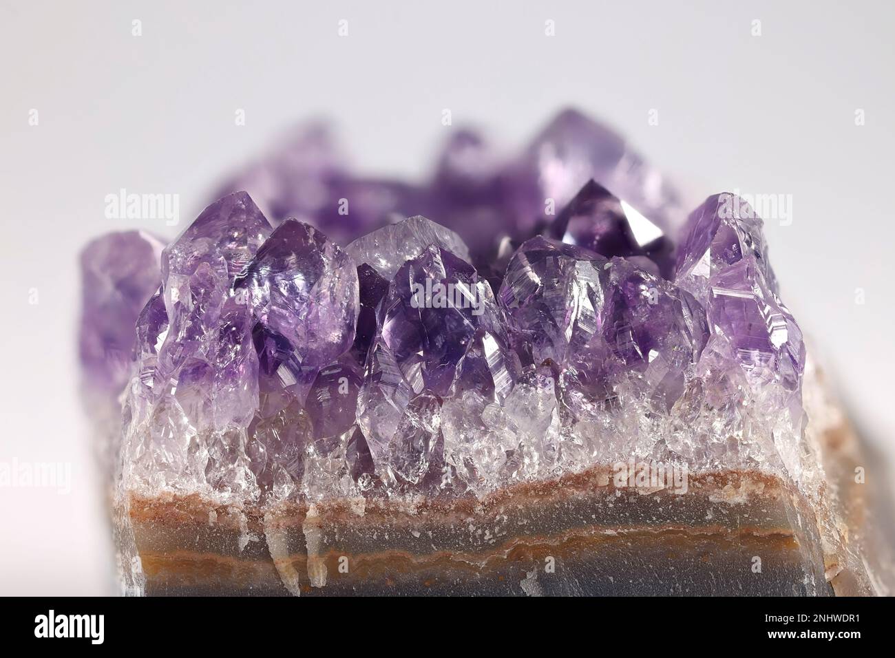 Amethyst ist eine fliederfarbene Quarzsorte. Hier sind Kristalle, die von einem geschliffenen Geode freigelegt wurden. Stockfoto