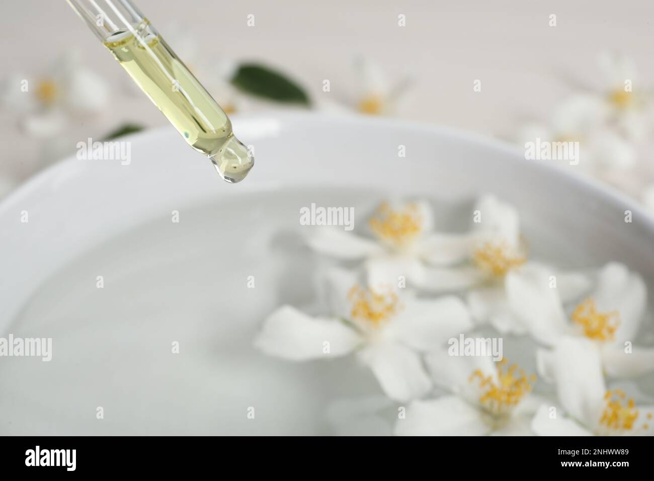 Ätherisches Jasminöl in die Schüssel mit Blumen tropfen lassen, schließen Stockfoto