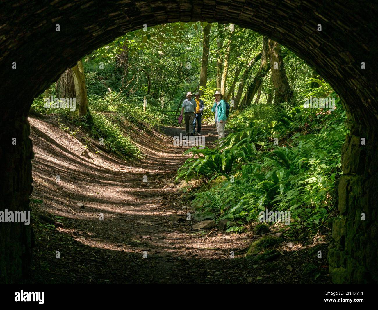 Wanderer auf Waldwegen nähern sich dem Tunnel mit einem Bogen in Ticknall Limeyards, Derbyshire, England, Großbritannien Stockfoto