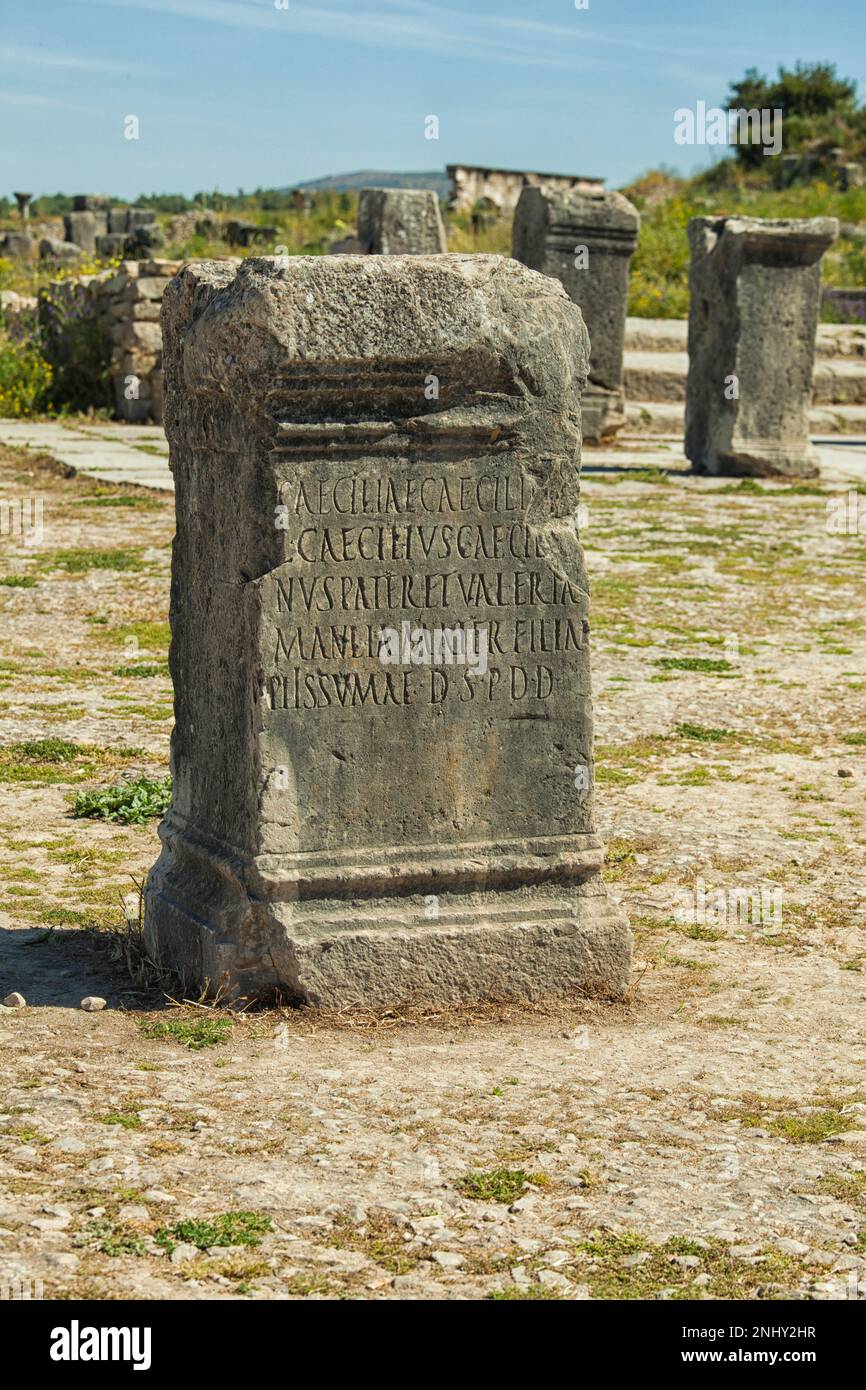 Inschrift auf einem Stein bei Volubilis in Marokko. Eine römische Stadt aus den Jahren 2. und 3. v. Chr., die 280 v. Chr. von den Römern verlassen wurde Stockfoto