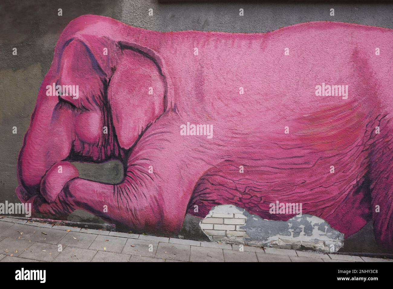 Dieses beeindruckende Stockfoto zeigt eine Nahaufnahme der Pink Elephant Street Art in Kaunas, Litauen. Das Foto zeigt die komplexen Details und Stockfoto