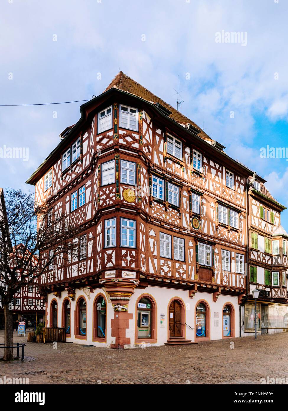 Historisches Zentrum von Mosbach mit Palmenhaus (Region Odenwald/Deutschland) Stockfoto