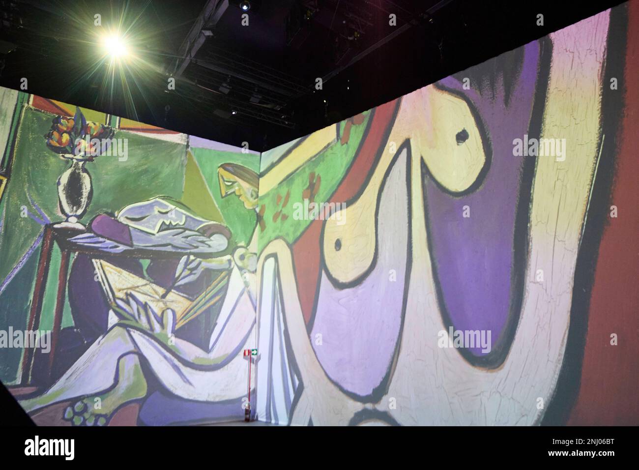 Projection of a work by picasso at the exhibition imagine picasso at
