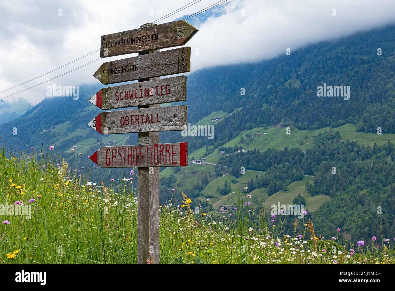 Holzmarkierungen für Wanderwege im Passiria-Tal in Südtirol, Italien Stockfoto