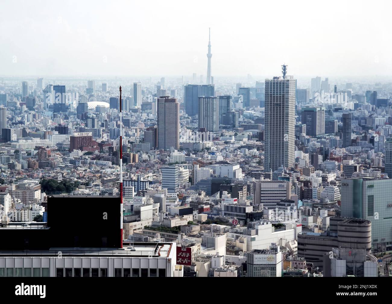 Tokio, Japan - September 2017: Panoramablick auf die moderne Skyline der Stadt und Blick auf skytree Stockfoto