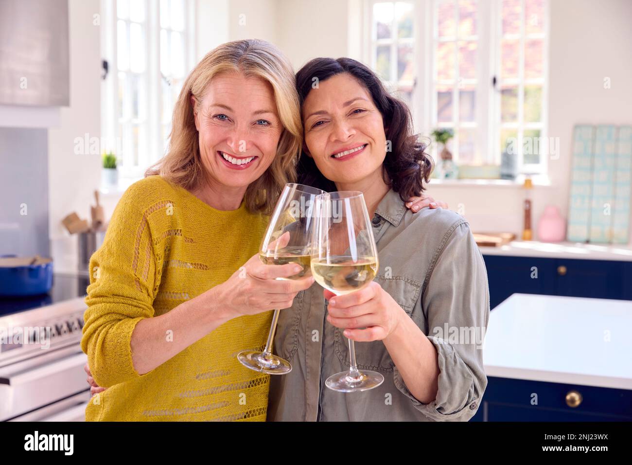 Porträt Eines Weiblichen Ehepaars Mit Gleichem Geschlecht, Das Zusammen Mit Einem Glas Wein Zu Hause Feiert Stockfoto