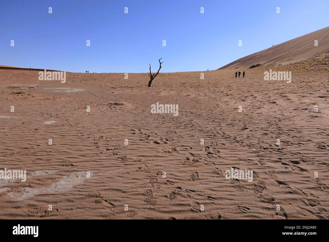 Erkundung der Namib-Wüste in Namibia mit G Adventures Stockfoto