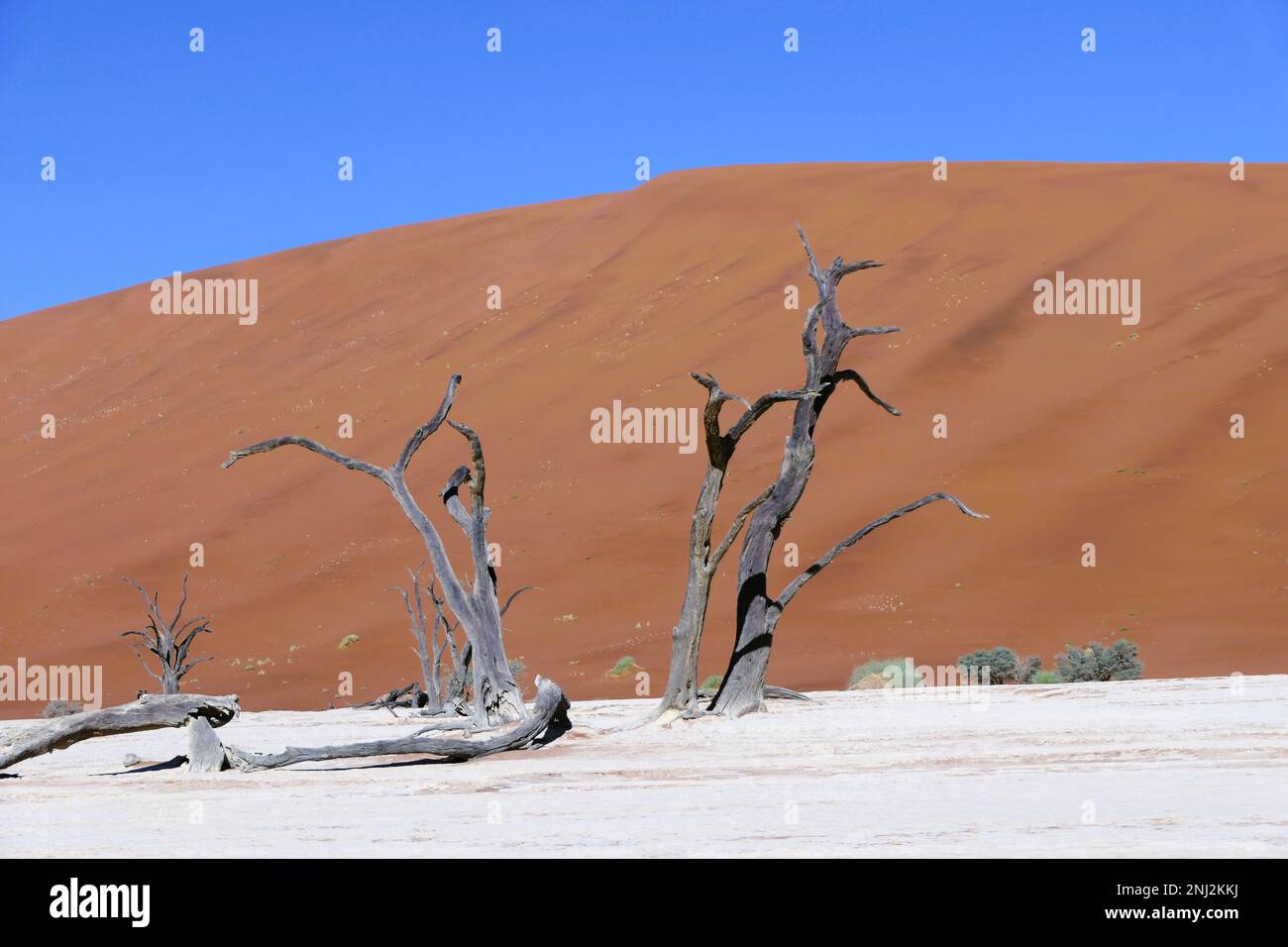 Maßgeschneiderte Reisen in Afrika Stockfoto