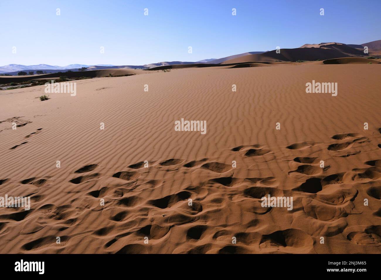 Maßgeschneiderte Reisen in Afrika Stockfoto