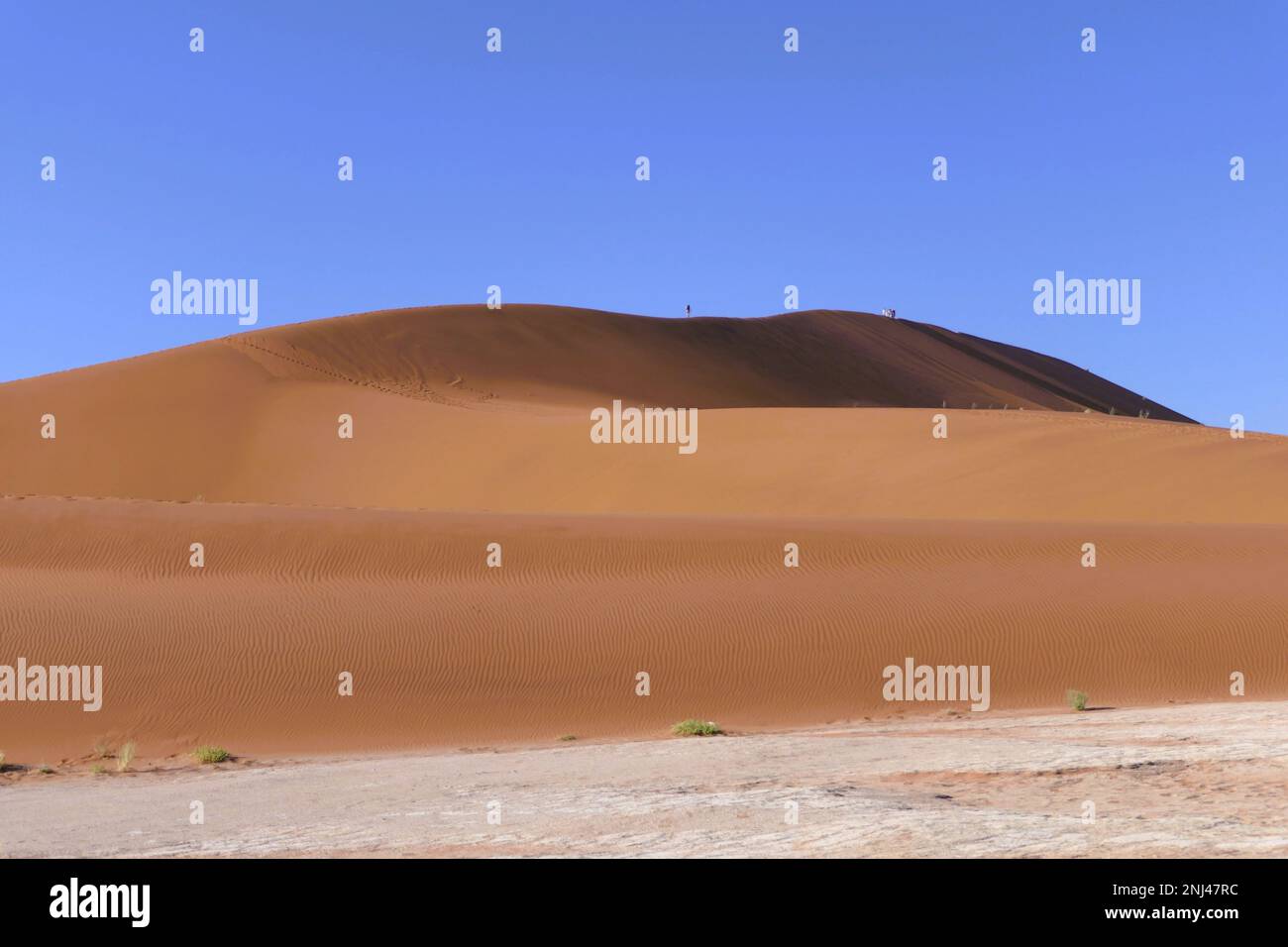 Maßgeschneiderte Reisen in Afrika Stockfoto