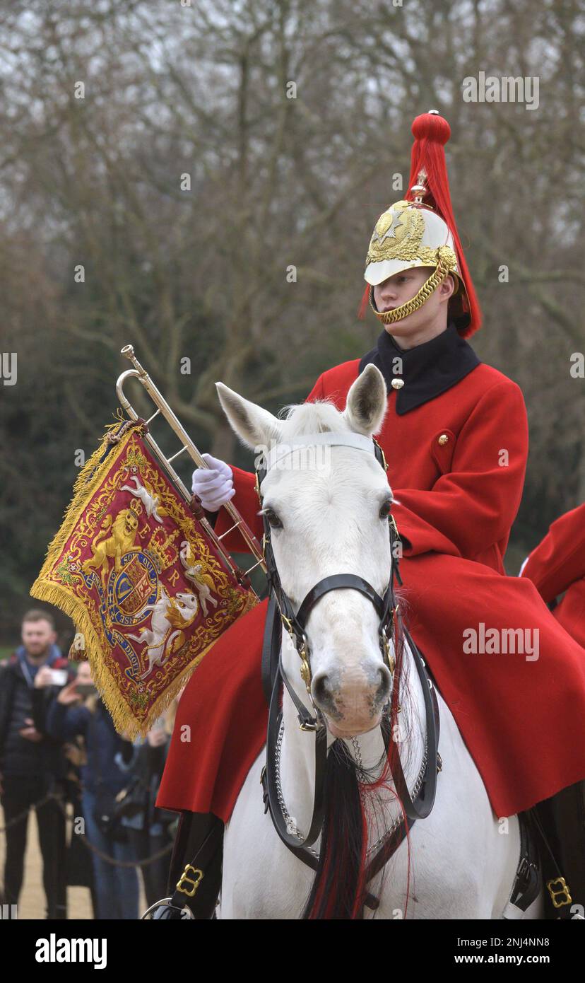 London, England, Großbritannien. Tägliche Wachablösung der Horse Guards' Parade, Westminster. Rettungsschwimmer Trompeter mit Banner Stockfoto