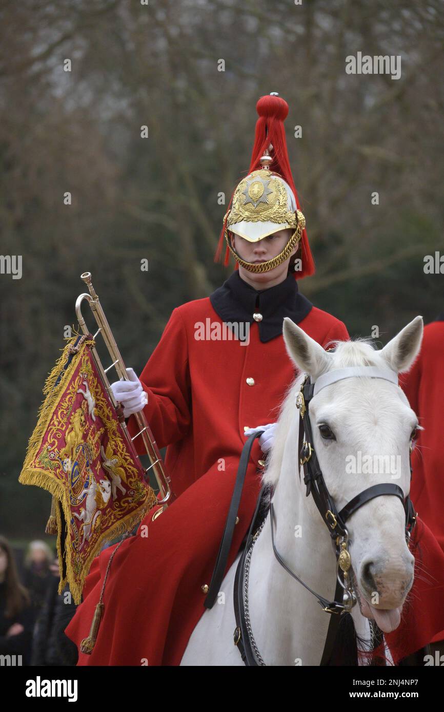 London, England, Großbritannien. Tägliche Wachablösung der Horse Guards' Parade, Westminster. Rettungsschwimmer Trompeter mit Banner Stockfoto