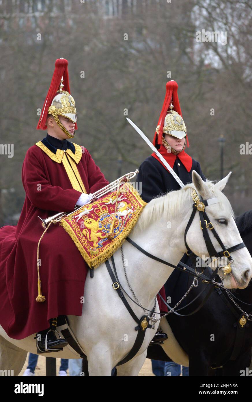 London, England, Großbritannien. Tägliche Wachablösung der Horse Guards' Parade, Westminster. Blues und Royals (rotes Plüsch) Trompeter mit Banner Stockfoto