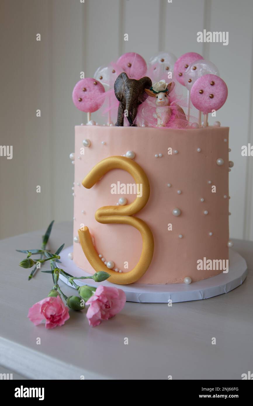 Wunderschöne, einfache dreijährige Geburtstagstorte mit Tierhochzeitdekor und Nelken zum Dekorieren, Derbyshire, Großbritannien Stockfoto