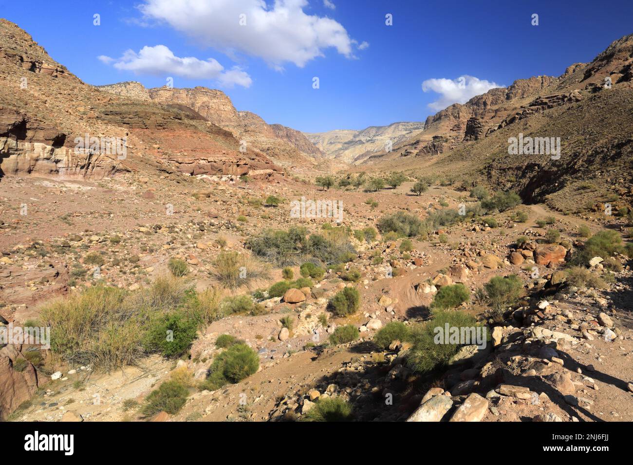 Blick durch das Dana Biosphärenreservat, Wadi Dana, Süd-Zentrum Jordanien, Naher Osten. Jordaniens größtes Naturschutzgebiet Stockfoto