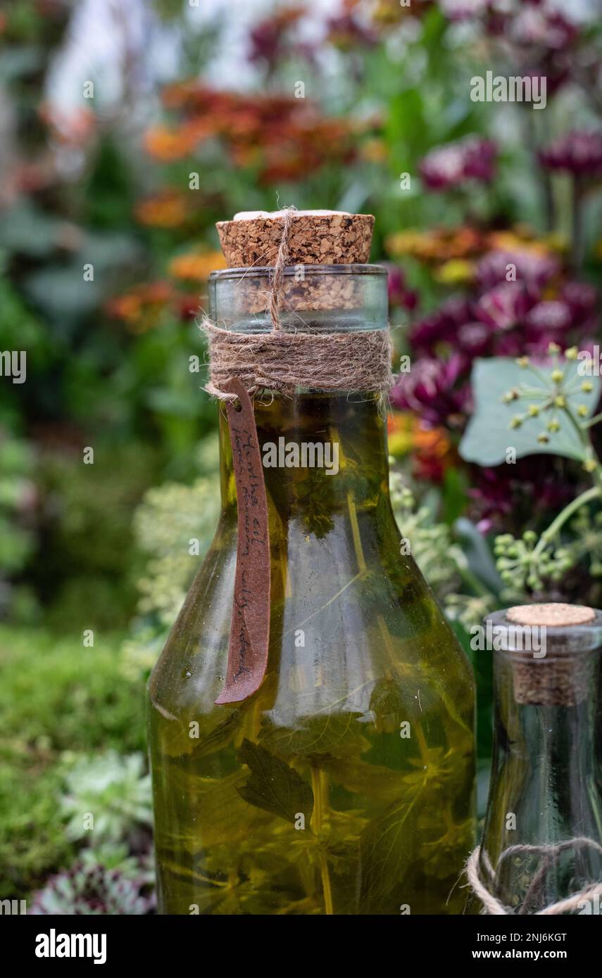 Getränkeflaschen gefüllt mit Ölen, Kräutern und handgeschriebenen Etiketten, Korken und Schnur sind Teil einer Blumenausstellung auf der Chelsea Flower Show 2021. Stockfoto