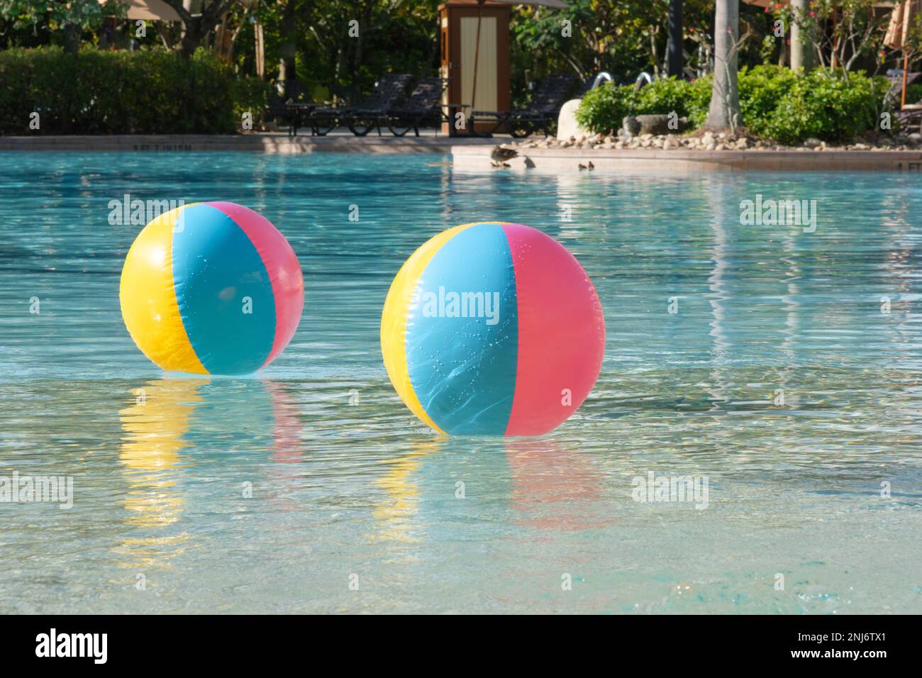 An einem Sommertag schweben zwei bunte Strandbälle im Wasser eines Resortpools. Stockfoto