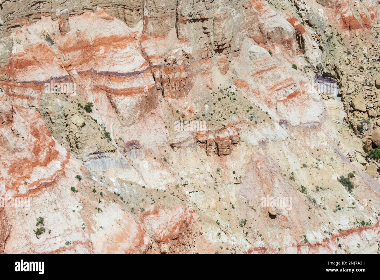 Raue Landschaft des Coal Mine Canyon Stockfoto