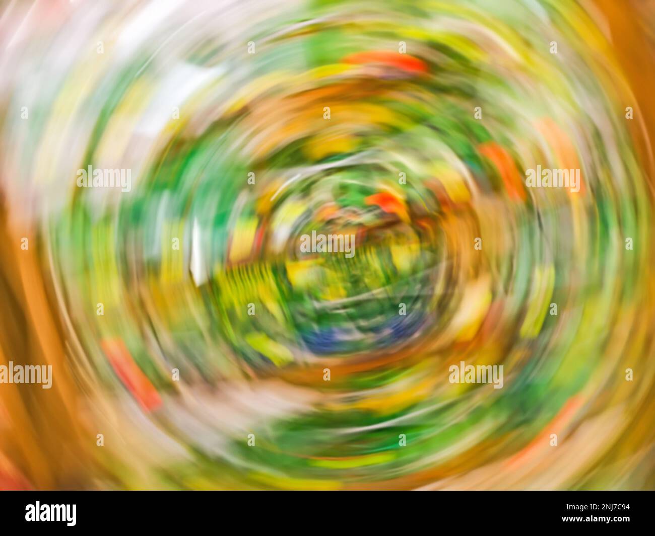 Blumen- und Gemüsesamenpakete im Markt Bokeh verschwommener Hintergrund Stockfoto